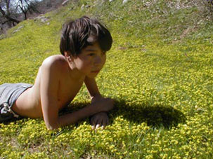 Andrew junior